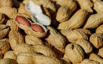 The Truth About Peanut Allergies